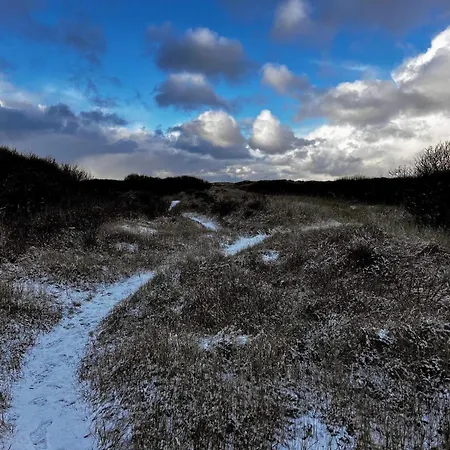 8 Person In Skagen-by Traum * Skagen